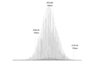 Powerful polymer analysis_SAI