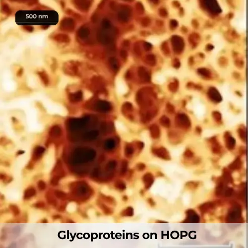 NuNano Glycoproteins on HOPG