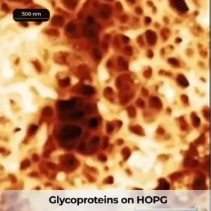 NuNano Glycoproteins on HOPG